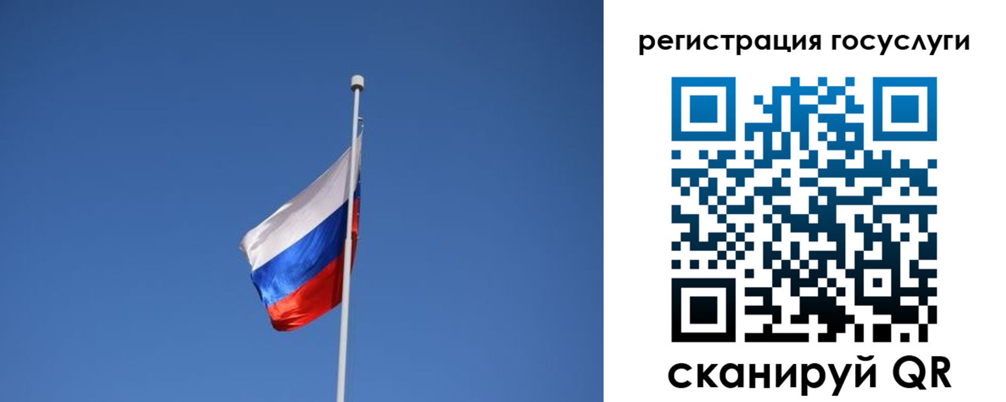 временная регистрация надежно в Курске